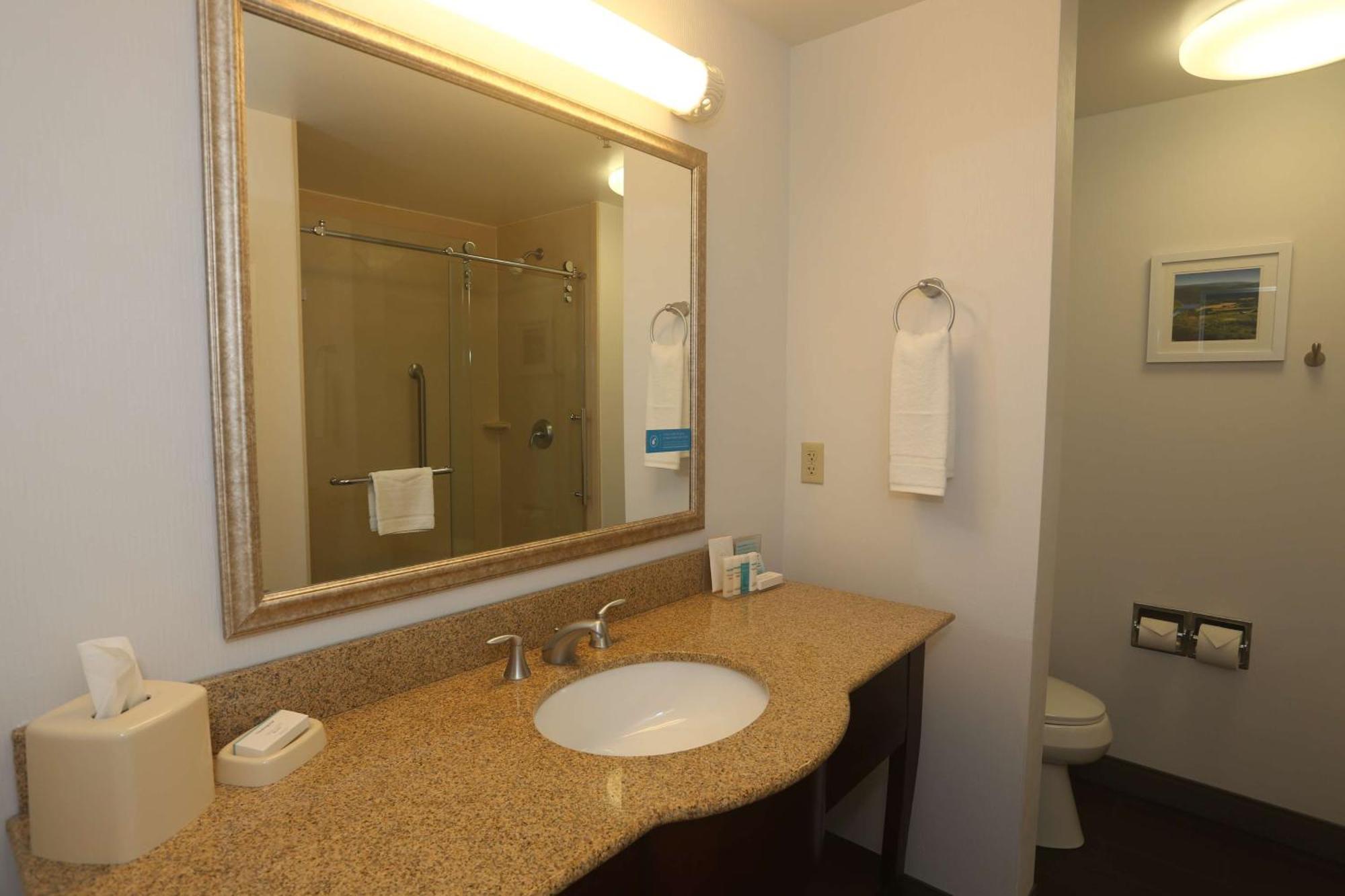 Hampton Inn Owego Экстерьер фото